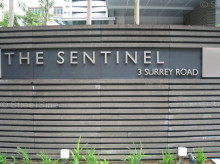 The Sentinel #1275892
